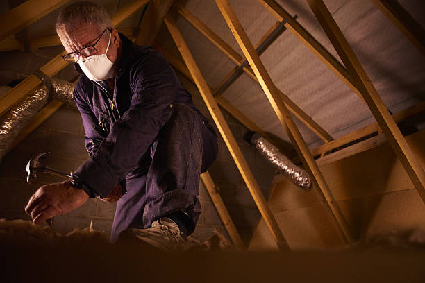 Best Specialty Insulation in Plainfield, IL